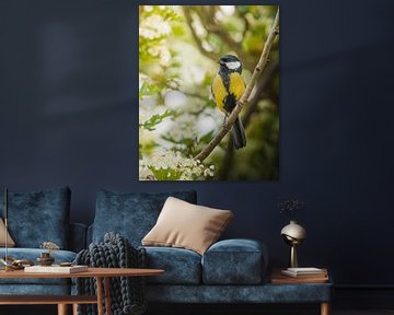 great tit on branch surrounded by Crataegus punctata by Wennekes Photography