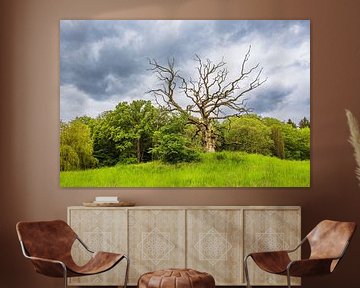 Landschaft mit Wiese und Bäumen bei Kuchelmiß von Rico Ködder