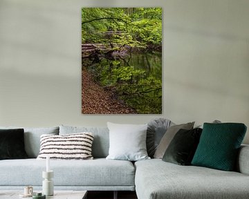 Landschap in de Mistdoorbraakvallei tussen Serrahn en Kuchelmi van Rico Ködder