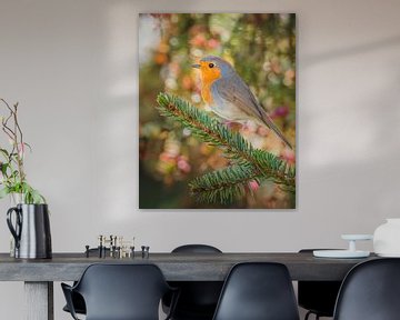 Robin on ornate background by Wennekes Photography