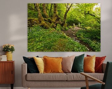 Schottland, Fairy Bridge von Edwin Kooren