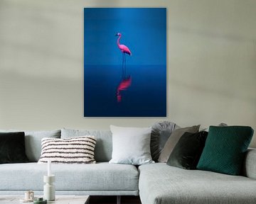 Flamingo von PixelPrestige