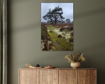 Paysage hivernal à De Teut à Zonhoven sur Retrotimes