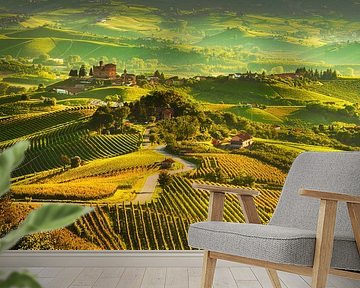 Grinzane Cavour and the vineyards of Langhe by Stefano Orazzini