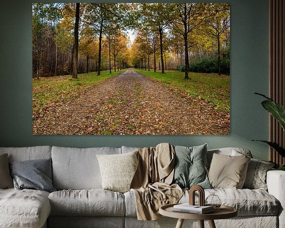 Raumvorschau