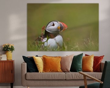 Puffin (Lunga) by Marcel Antons