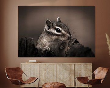 Portrait Siberian Squirrel by Roy IJpelaar