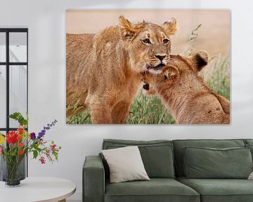 Two young lions - Africa wildlife van W. Woyke