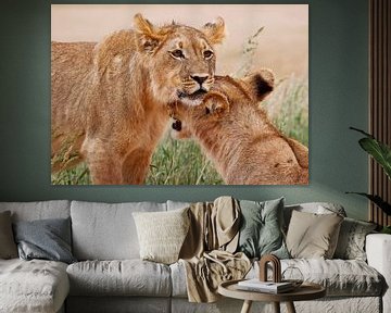 Two young lions - Africa wildlife van W. Woyke