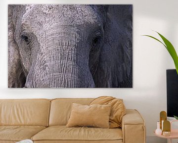 The elephant - Africa wildlife by W. Woyke
