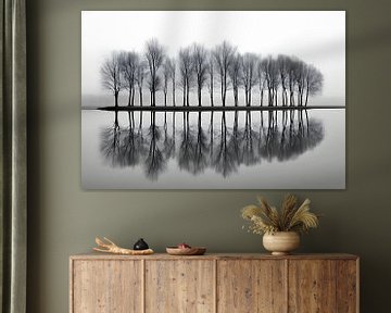 Les arbres aux Pays-Bas sur Artsy