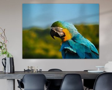 Portrait of a Macaw by Joost Doude van Troostwijk