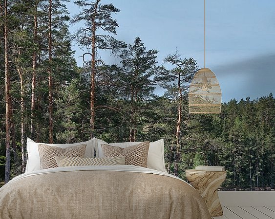 Aperçu de la chambre