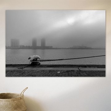 Rotterdam on a foggy morning 1