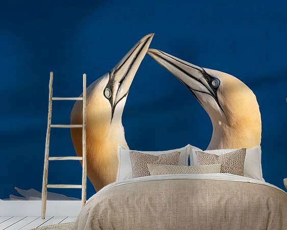 Aperçu de la chambre