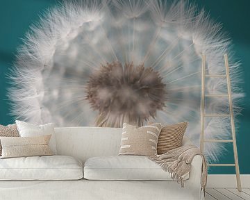 I wish..... (a dandelion with turquoise background) by Marjolijn van den Berg