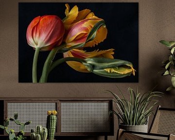 Les tulipes ! sur Renee Klein