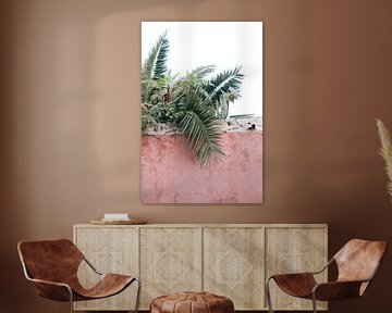 Botanische grüne, rosa Wand | Fotodruck Spanien | Farbenfrohe Reisefotografie von HelloHappylife