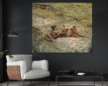 Fox with cubs