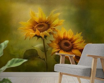 Three sunflowers in full bloom against a warm, soft green background. by Joriali photography and paintings