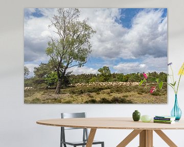 schilderachtig landschap van de Loenermark op de Veluwe van Pixel Meeting Point