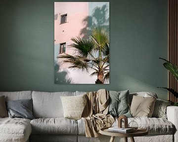 Palmboom zomervibe | Pastelkleuren Natuur Foto | Tenerife Reisfotografie van HelloHappylife