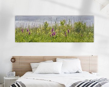 wild orchids in bloom