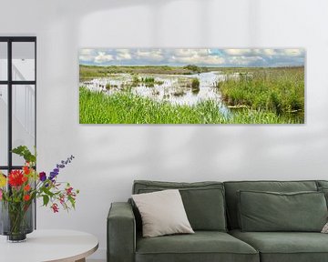 Nature image from the landscape of North Holland
