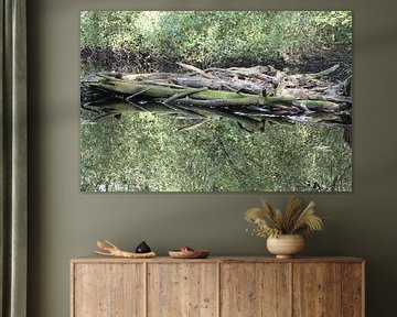 Reflektionen 102 by Ulrich Fuchs