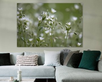 Mooi Grote Muur, witte bloemen van Imladris Images