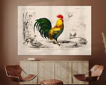 "Coq domestique", an old rooster in a modern twist by Arjen Roos