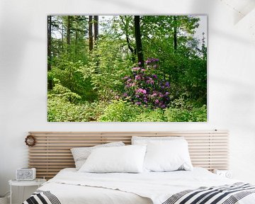 Een bloeiende rododendron tussen de struiken en bomen