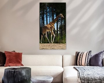 Eine Giraffe auf der Straße von Teuntje van den Brekel