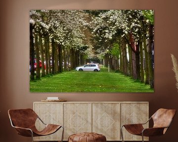 Nature and technology