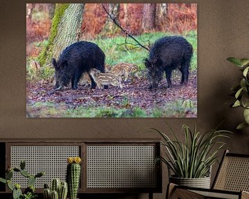 Wilde zwijnen met frislingen in het bos