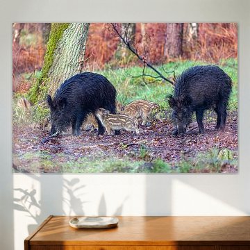 Wildschwein mit Frisbee im Wald