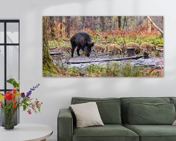 Sanglier avec des biscuits dans la forêt sur Evert Jan Kip