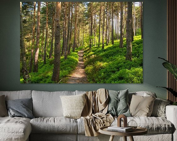 Aperçu de la chambre