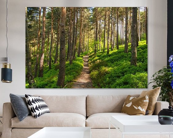 Aperçu de la chambre