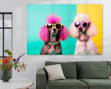 Komische Hundemode: Lustige Hunde mit Brillen von Maarten Knops