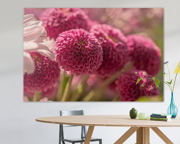 Blühende Dahlienblüten in sanftem, träumendem Licht von Jolanda de Jong-Jansen