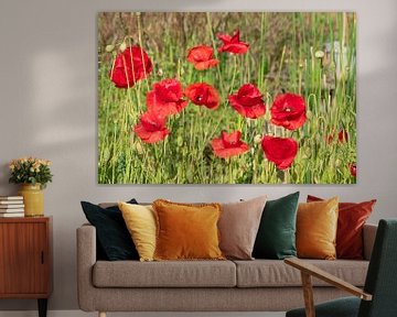 Champ de fleurs dans la nature avec des coquelicots sur Jolanda de Jong-Jansen