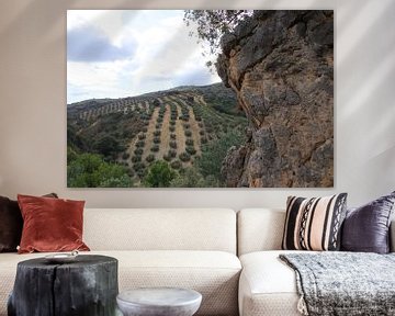 Landscape in Granada province. by Jan Katuin