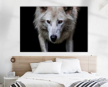 Wolf by Design Wall Arts