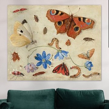 Vlinders, rupsen, andere insecten en bloemen, Jan van Kessel