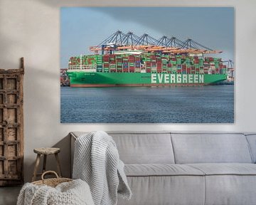 Container ship Ever Aim from Evergreen. by Jaap van den Berg