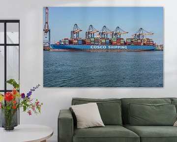 Cosco Shipping Capricorn container ship. by Jaap van den Berg
