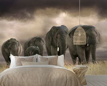 Elefanten von Marcel van Balken