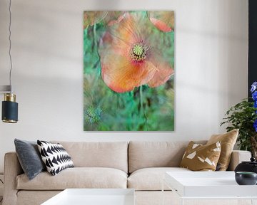 delicate poppy flower abstract