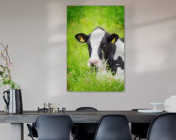 Koe in het hoge gras